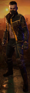 Golden Gladiator Outfit.png