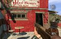 Red Flowers café in Slums